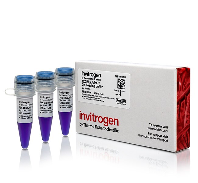 BlueJuice™ 凝胶上样缓冲液 (10X)